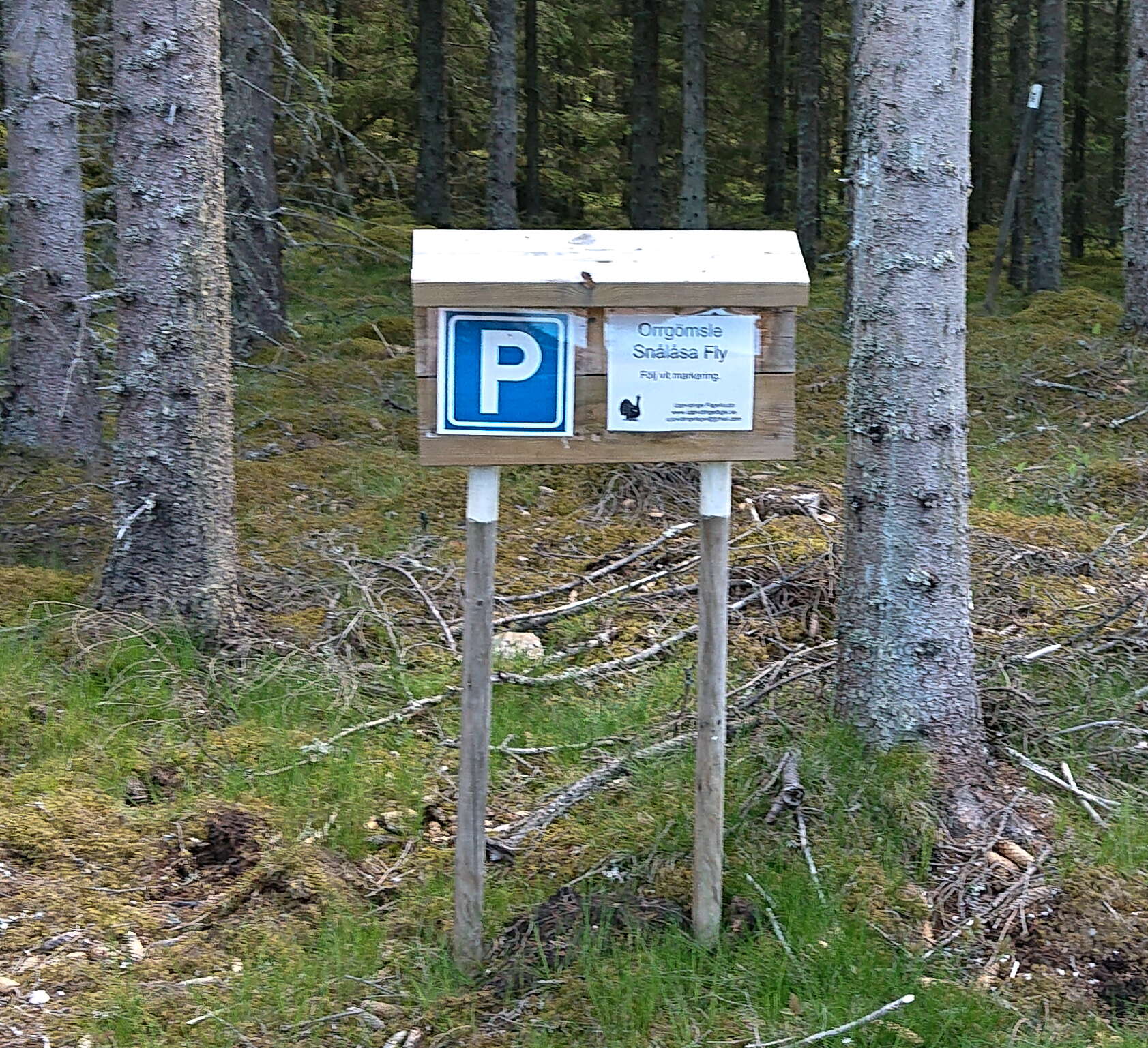 F 210529 123626