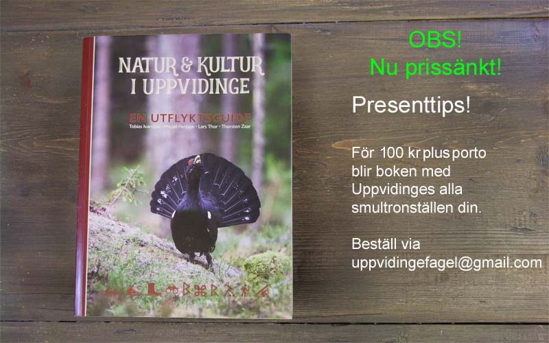 naturokultur3.jpg