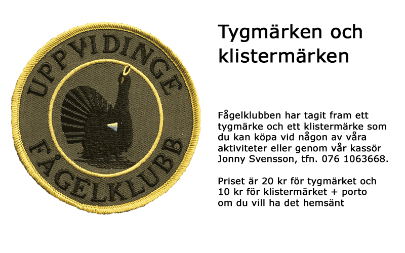 tygmarken.png