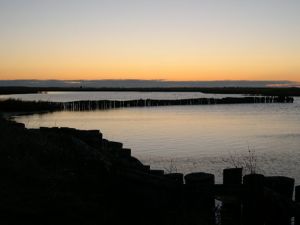 falster04_22