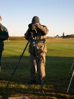 falsterbo04_25