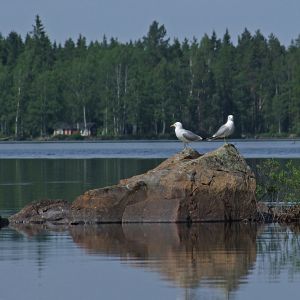 Men här kan vi inte stå, ska du med och bada? - Kanske...