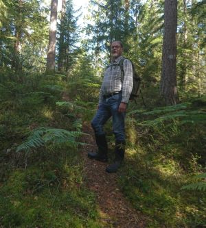 Vandringsleden slingrade sig fram mellan stenblock och blåbärsris